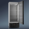 Холодильный шкаф RAPSODY - Серия EXCLUSIVE